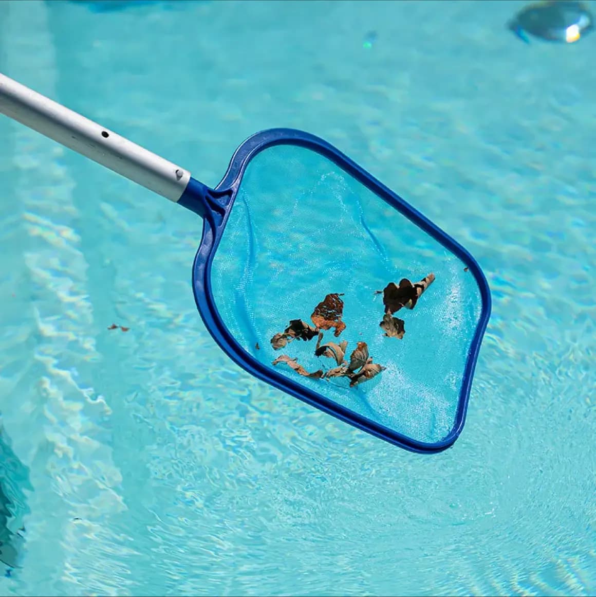 Skimmer in the pool removing leaves